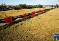 黑龙江宁安高端网站建设_(宁安如梦电视剧在线免费观看完整版)