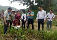 合山网站建设_(五合一网站建设)