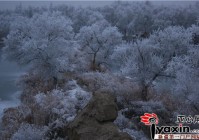 胡杨河网站建设_(胡杨河市挂牌成立)