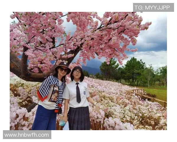 探索布莱克尼的魅力与历史：一段关于文化与自然的奇妙旅程